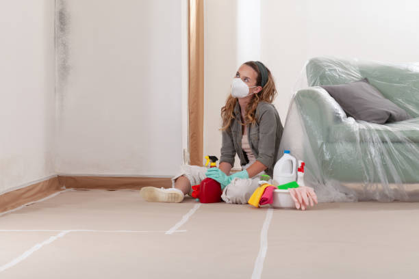 Reliable Black Mold Removal contractor in Sicklerville, NJ by WQB Mold Removal